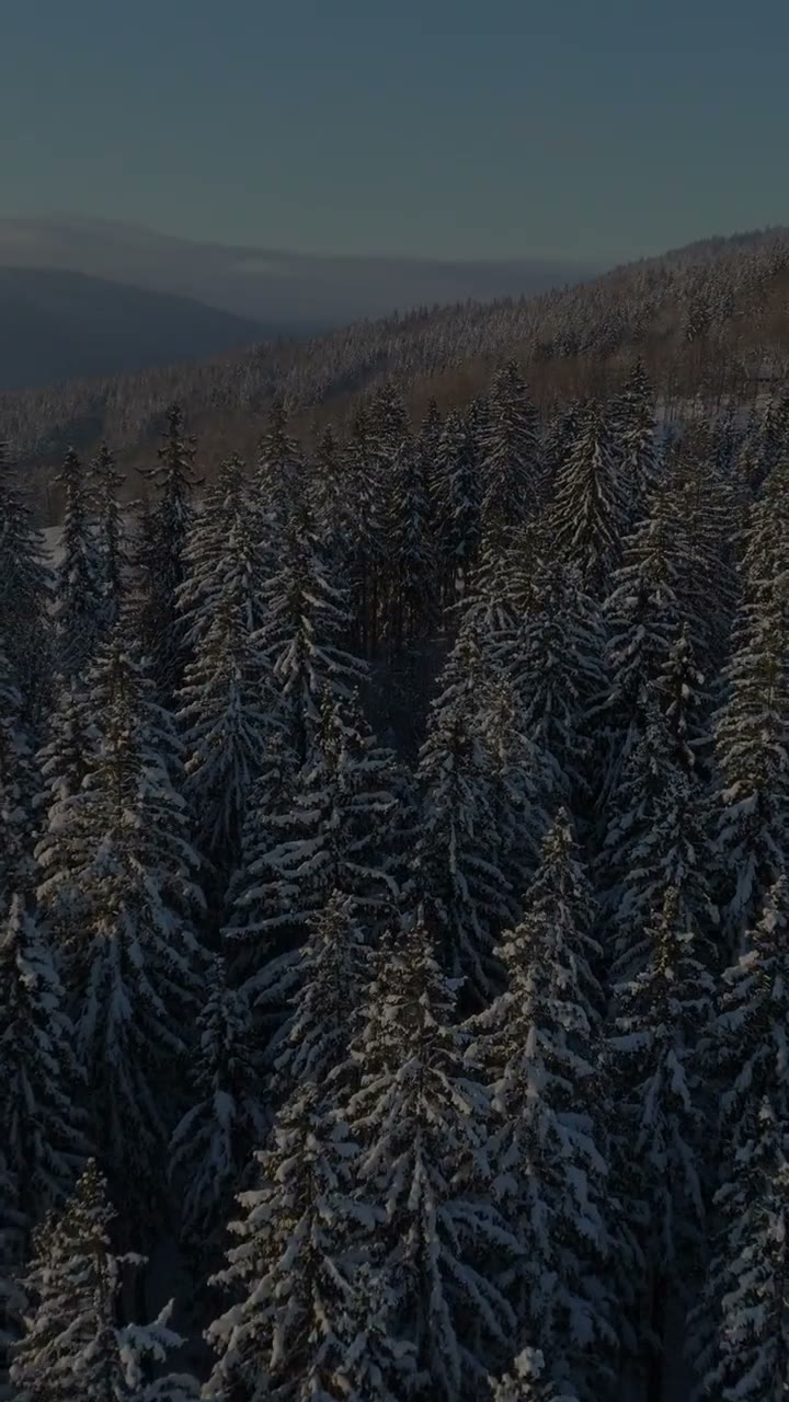 Let dronem nad Ski areálem Pařez